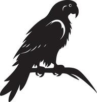 pappagallo silhouette illustrazione bianca sfondo vettore