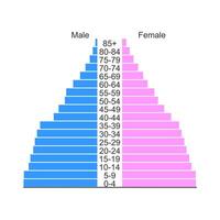 popolazione piramide o età struttura diagramma modello isolato su bianca sfondo. esempio di popolazione distribuzione di maschio e femmina gruppi con diverso età. vettore