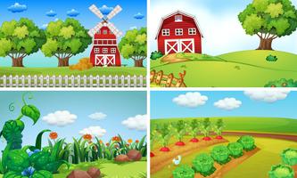 Scene di sfondo con verdure in fattoria