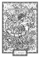 zodiaco cartello scorpione. mano disegnato fantasia grafico illustrazione nel telaio vettore