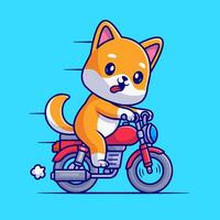 carino shiba inu cane equitazione motociclo cartone animato vettore