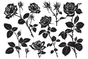 rosa sagome nero mini cuffie e steli di Rose stampini isolato su bianca sfondo vettore
