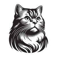 illustrazione di dignitoso americano capelli corti gatto viso logo concetto design vettore