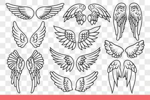 Ali di angeli e uccelli con lungo piume per volo su fusione distanza. mano disegnato scarabocchio. vettore