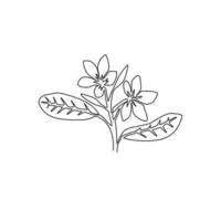 una linea continua di disegno di bellezza fresca plumeria per poster di stampa artistica di decorazioni per la casa della parete. fiore di frangipani decorativo stampabile per l'icona del parco verde. illustrazione vettoriale di design moderno a linea singola