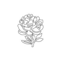 disegno a linea continua di bellezza fresca peonia per il logo del giardino. concetto di fiore di peonia decorativo stampabile per la stampa di poster di arte della parete della decorazione della casa. illustrazione vettoriale di design moderno a una linea di disegno