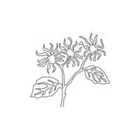 singolo disegno a tratteggio bellezza amamelide fresche per il logo del giardino. decorativo del concetto di fiore winterbloom per la stampa di poster artistici per la decorazione della parete di casa. illustrazione vettoriale di disegno di disegno di linea continua moderna