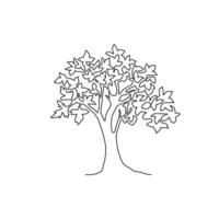 disegno a linea continua di un albero di acero esotico di grande bellezza per la stampa di poster artistici per la decorazione della parete di casa. pianta di sicomoro decorativo per il logo del parco nazionale. illustrazione vettoriale di design moderno a una linea di disegno