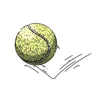 isolato tennis palla schizzo mano disegnato vettore