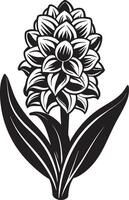 giacinto fiore nero e bianca illustrazione nel bianca sfondo vettore