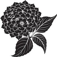 ortensia fiore. nero e bianca illustrazione per colorazione libro. vettore