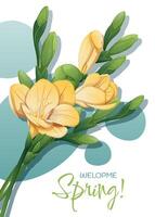 saluto carta modello con primavera fiori. striscione, manifesto con narcisi. Pasqua illustrazione di delicato fiori nel cartone animato stile per carta, invito, sfondo, eccetera. vettore