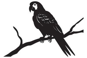 nero silhouette impostato di pappagallo su un' bianca sfondo gratuito design vettore