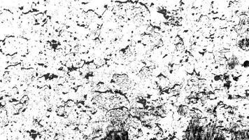 urbano sfondo struttura . polvere copertura angoscia granuloso grungy effetto. afflitto illustrazione. isolato nero su bianca sfondo. vettore