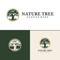 albero logo design . natura alberi illustrazione. vettore