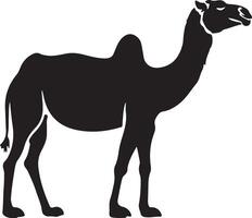 piatto design cammello sagoma, cammello grafico icona. cammello nero cartello isolato su bianca sfondo. cammello simbolo di deserto. illustrazione vettore