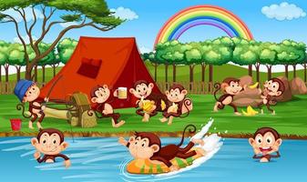 scena della foresta in campeggio con scimmiette che fanno diverse attività vettore