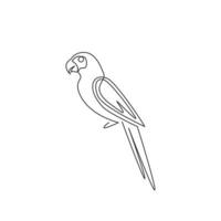 un disegno a linea continua di un simpatico pappagallo con una lunga coda per l'identità del logo. concetto di mascotte animale aves per l'icona del parco nazionale di conservazione. illustrazione grafica vettoriale di disegno di disegno a linea singola