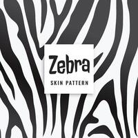 zebra Stampa modello nel nero e bianca vettore