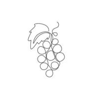 singola linea continua che disegna uve biologiche sane per l'identità del logo del vigneto. concetto di frutta fresca tropicale per l'icona del giardino del frutteto di frutta. illustrazione vettoriale grafica di design moderno di una linea di disegno