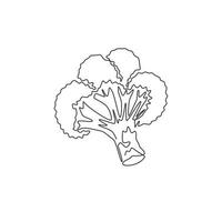 una singola linea che disegna broccoli verdi biologici sani per l'identità del logo della fattoria. concetto di pianta verde commestibile fresca per icona vegetale. illustrazione grafica vettoriale di disegno di disegno di linea continua moderna