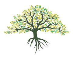 astratto colorato albero icona design. crescita e saggezza logo design. verde albero icona. vettore