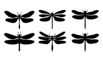 impostato di libellula nero silhouette su bianca sfondo. insetto illustrazione isolato grafico. collezione disegno tagliare su e elemento cartone animato decorazione clip arte. vettore