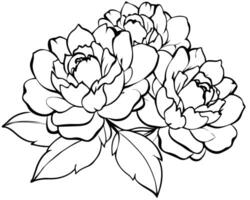 nero bianca linea schizzo fiore arte vettore