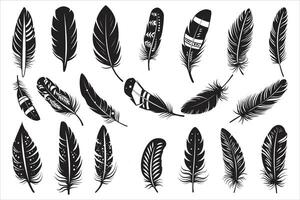 rustico etnico decorativo piume impostato nero silhouette, collezione di disegnato a mano piume, impostato di decorativo animale piume, uccello piuma icona silhouette collezione vettore