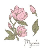magnolia fiore linea illustrazione. disegnato a mano contorno schema di nozze erba, elegante le foglie per invito Salva il Data carta. botanico di moda verdura collezione per ragnatela, Stampa, manifesti. vettore