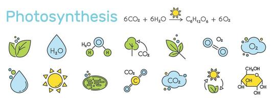impostato di colore icone relazionato per fotosintesi. equazione, cloroplasto, clorofilla, sole, acqua, glucosio, zucchero, foglia, pianta illustrazione. vettore