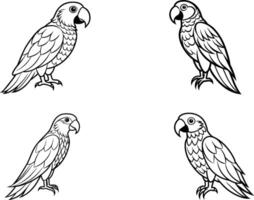 impostato imballare di schema pappagallo collezione illustrazione isolato nel bianca sfondo vettore
