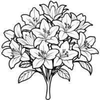 azalea fiore schema illustrazione colorazione libro pagina disegno, azalea fiore nero e bianca linea arte disegno colorazione libro pagine per bambini e adulti vettore