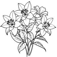 Colombina fiore schema illustrazione colorazione libro pagina disegno, Colombina fiore nero e bianca linea arte disegno colorazione libro pagine per bambini e adulti vettore