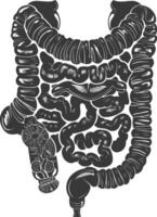 silhouette umano intestino nero colore solo vettore