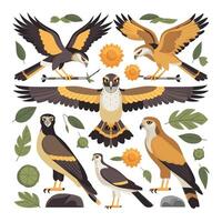 illustrazione di un' falco. uccelli isolato su un' bianca sfondo. vettore