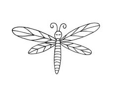 mano disegnato scarabocchio schizzo libellula vettore