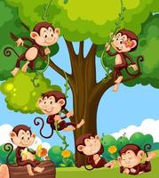 scena della foresta con scimmiette che fanno diverse attività