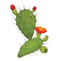 spinoso Pera cactus con frutta, e fiori. sfondo vettore