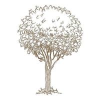 icona botanica del vecchio albero, stile disegnato a mano e contorno vettore