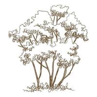 icona di giovani alberi della foresta, stile disegnato a mano e contorno vettore
