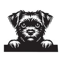 cane sbirciando - confine terrier cane sbirciando viso illustrazione nel nero e bianca vettore