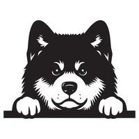 cane sbirciando - akita cane sbirciando viso illustrazione nel nero e bianca vettore