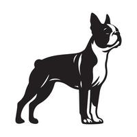 boston terrier - boston terrier cane in piedi illustrazione nel nero e bianca vettore