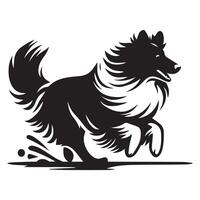 Shetland cane da pastore - un' sheltie in esecuzione lungo un' spiaggia illustrazione nel nero e bianca vettore