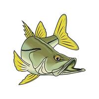 curiosare pesca illustrazione logo Immagine t camicia vettore