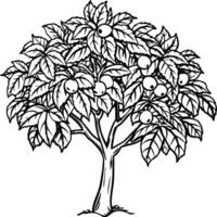 guaiava albero colorazione pagine. albero schema per colorazione libro vettore