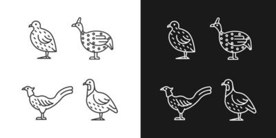 Icone lineari di uccelli terrestri impostate per la modalità scura e chiara. quaglia giapponese. famiglia dei fagiani. faraona. simboli di linea sottile personalizzabili. illustrazioni di contorno vettoriale isolato. tratto modificabile