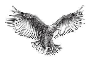 aquila con diffusione Ali schizzo mano disegnato incisione stile illustrazione vettore