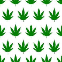 senza soluzione di continuità modello di marijuana le foglie su bianca sfondo vettore